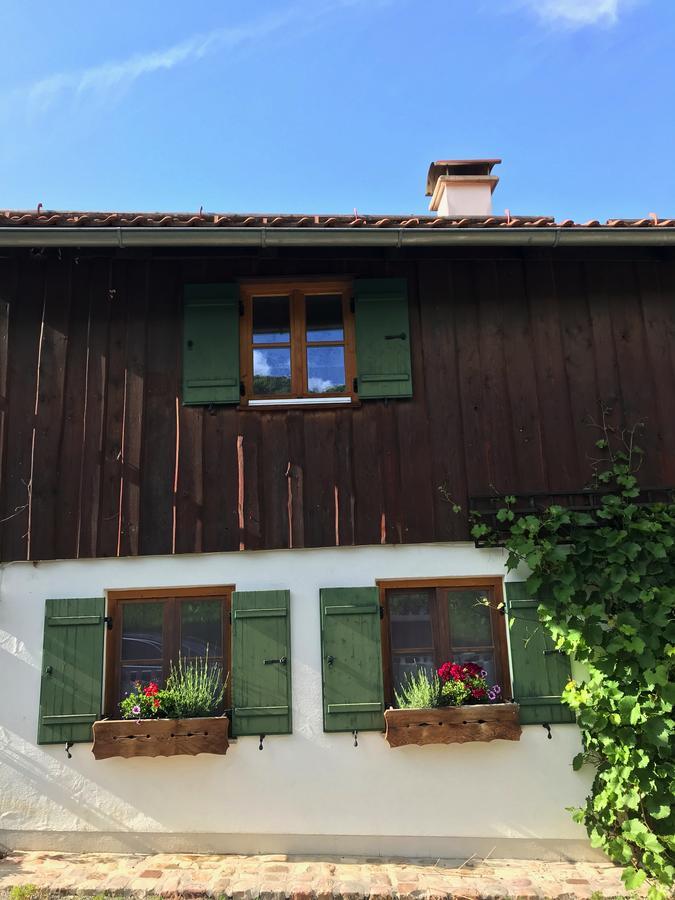 Chalet Alpenrose Schwangau Dış mekan fotoğraf